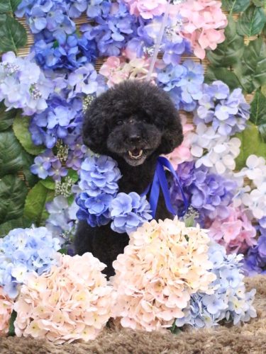 20250607ラブくん